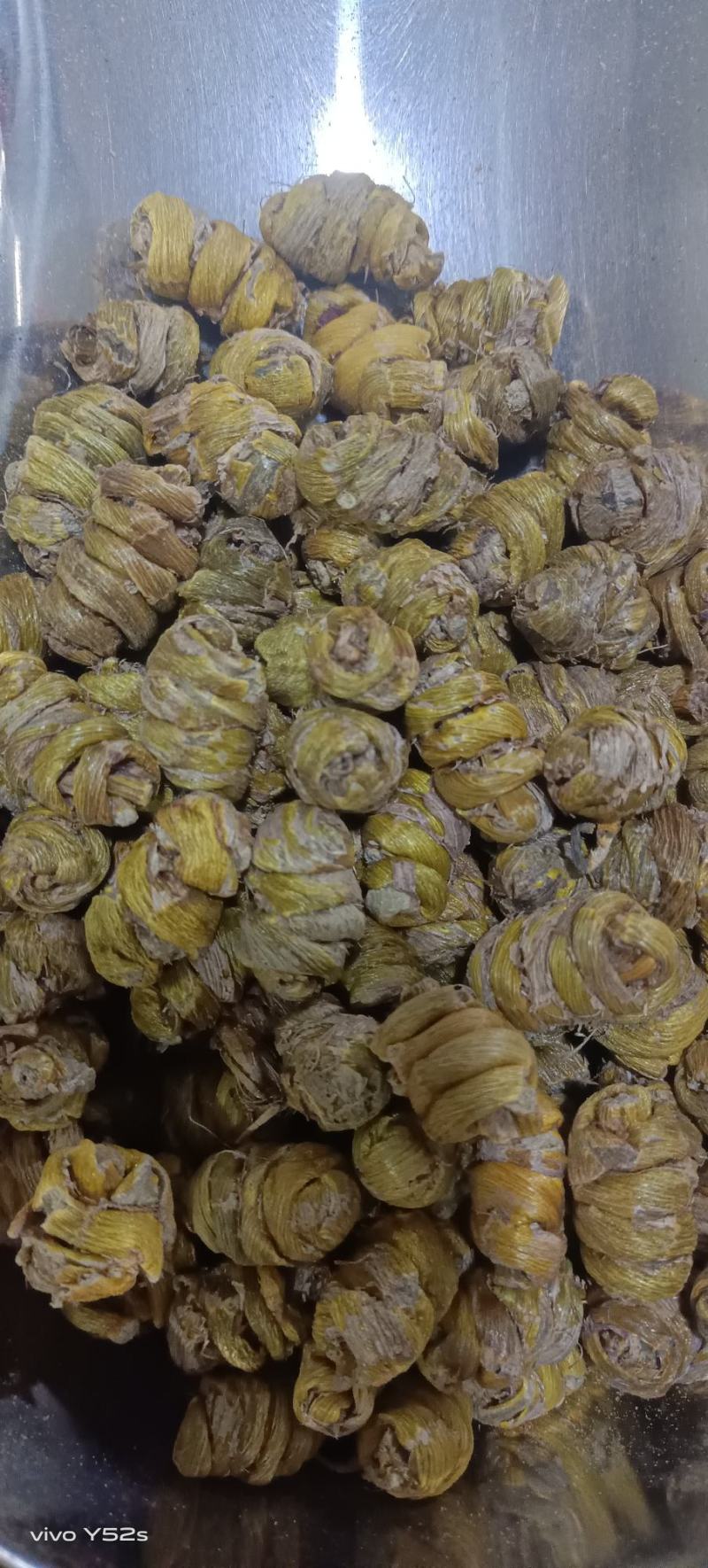 石斛铁皮石斛和紫皮石斛枫斗一手货源实体加平台质量有保证