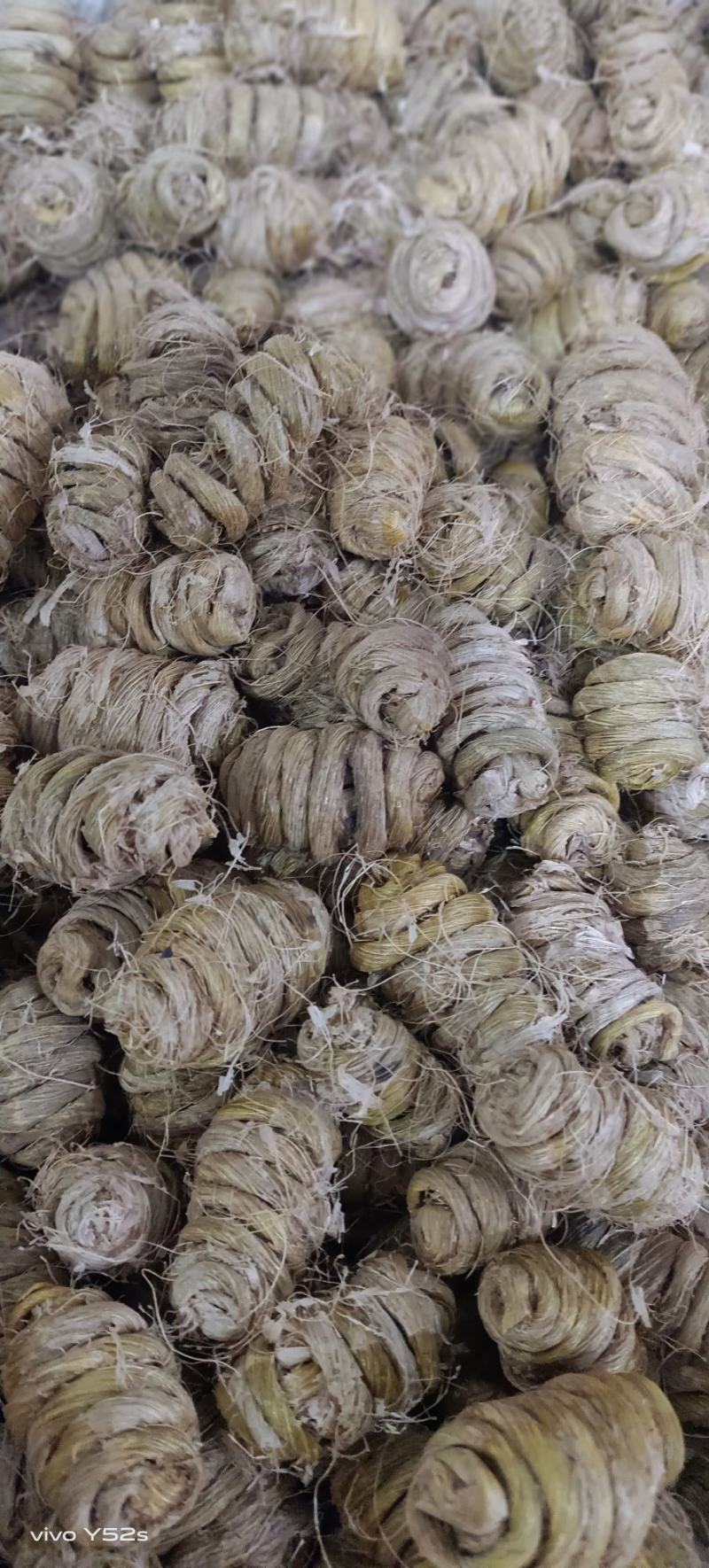 石斛铁皮石斛和紫皮石斛枫斗一手货源实体加平台质量有保证