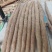正宗铁棍山药公司（非冷库更放心）100cm10斤精美礼盒