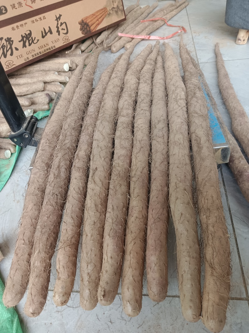正宗铁棍山药公司（非冷库更放心）100cm10斤精美礼盒