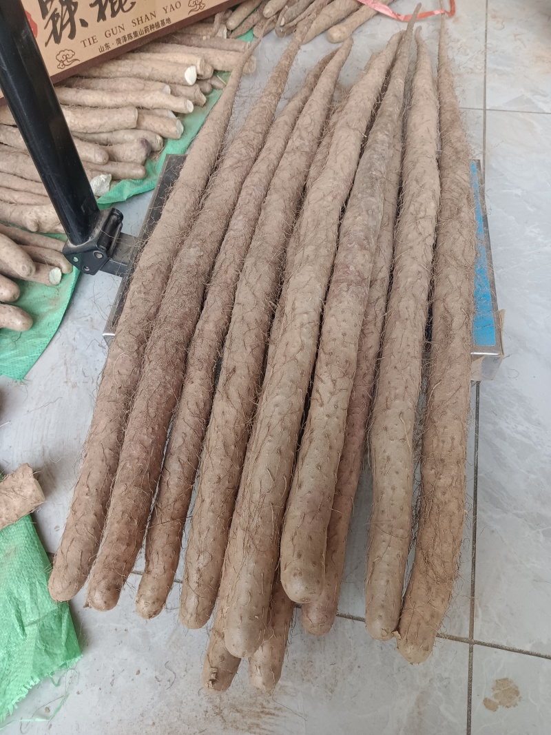 正宗铁棍山药公司（非冷库更放心）100cm10斤精美礼盒