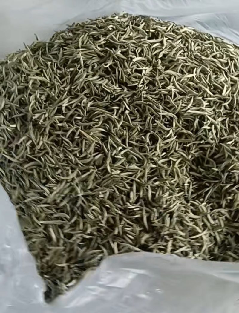 芽孢茶