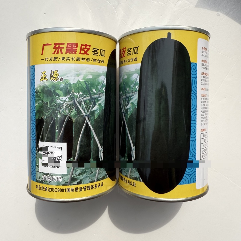 广东黑皮冬瓜种子高产特大巨型黑皮冬瓜菜东瓜种籽大冬瓜蔬菜