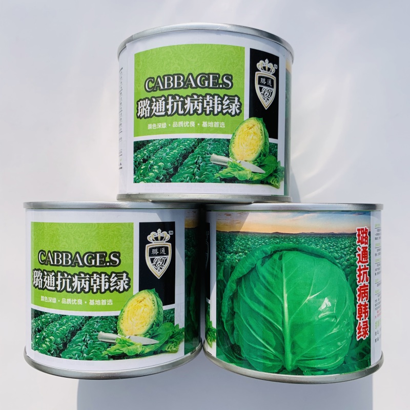 璐通抗病韩绿甘蓝种子耐热菜子包菜卷心菜高产蔬菜种籽包心菜