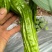 云南保山露天种植大青泡椒