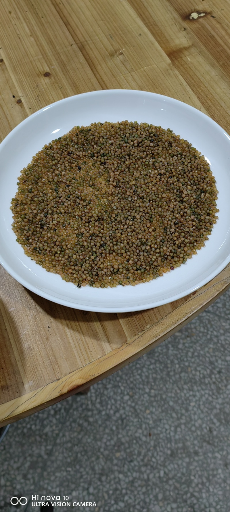 大别山甜黄精种子水洗黄精净种子黄精块茎种倒苗品种