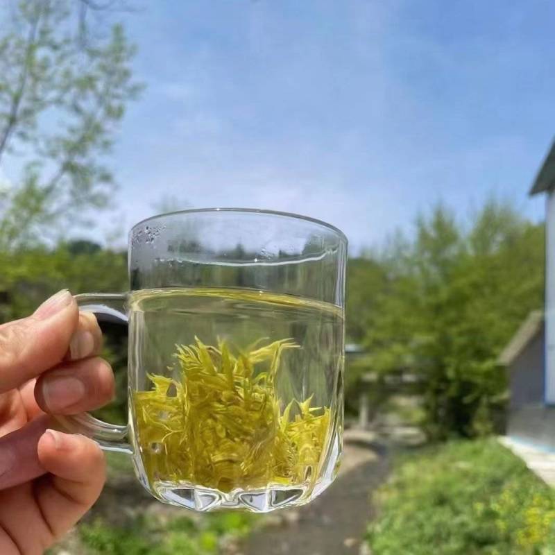 高山藤茶