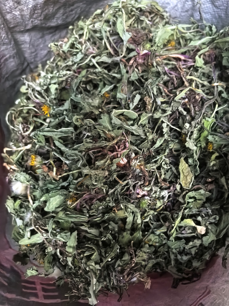 野生蒲公英手选精品青干无杂