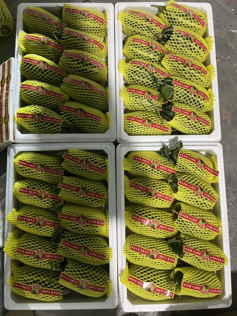 内黄县甜瓜大量上市‼️产地直销对接电商！品质保证‼️
