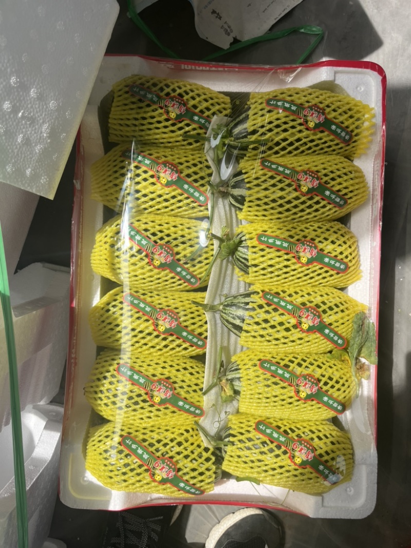 内黄县甜瓜大量上市‼️产地直销对接电商！品质保证‼️