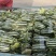 内黄县甜瓜大量上市‼️产地直销对接电商！品质保证‼️