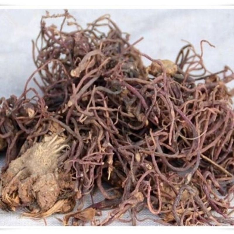 紫苑中药材紫苑自家种植水洗干净无硫新货