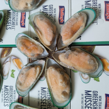 新西兰青口贝全壳青口贝鲜活速冻海鲜自助食材黑口贝蓝口贝