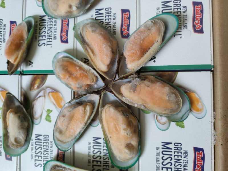 新西兰青口贝全壳青口贝鲜活速冻海鲜自助食材黑口贝蓝口贝