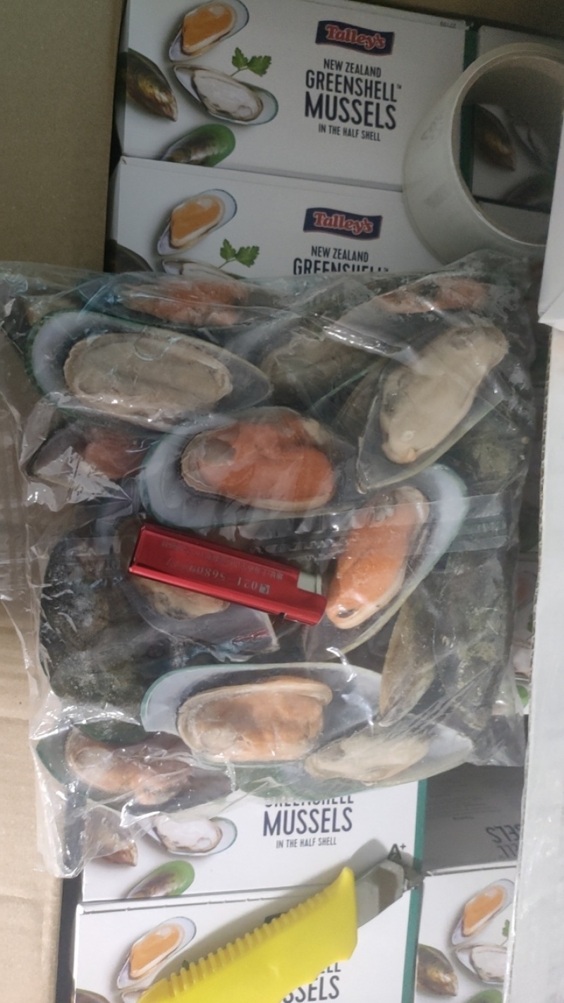 新西兰青口贝全壳青口贝鲜活速冻海鲜自助食材黑口贝蓝口贝