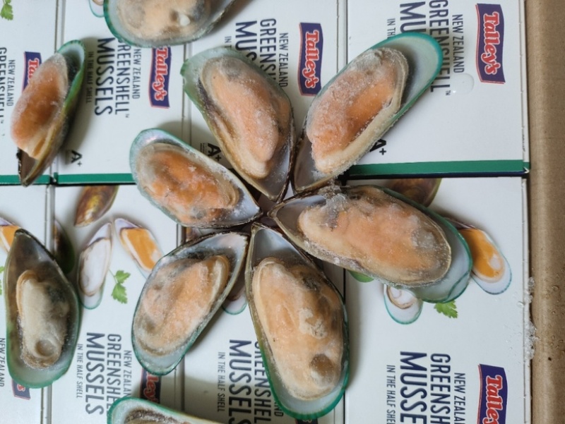 新西兰青口贝全壳青口贝鲜活速冻海鲜自助食材黑口贝蓝口贝