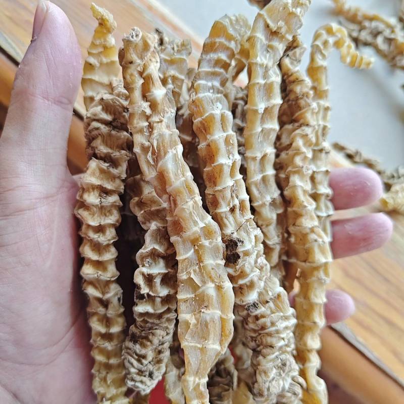 精品地参，选货，都是大白条，条索粗壮