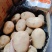 云南丽薯土豆新鲜上市对接全国质量好走货快欢迎询价