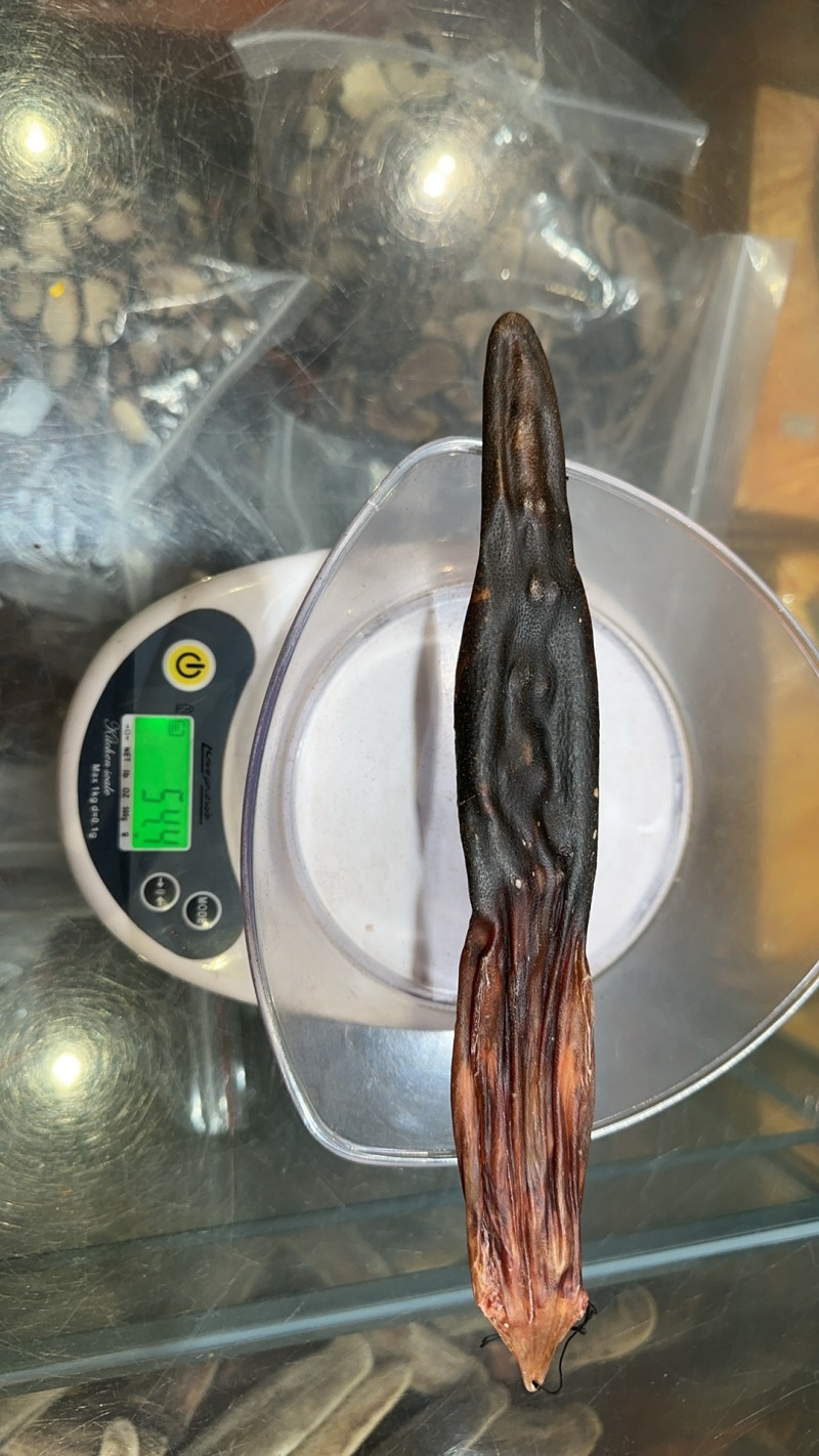 鹿尾，各种规格都有，原产地发货，大量供货