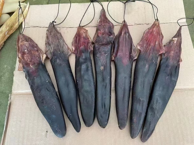 鹿尾，各种规格都有，原产地发货，大量供货
