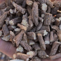 当归节子，味道浓，保含量，保农残，甘肃地产