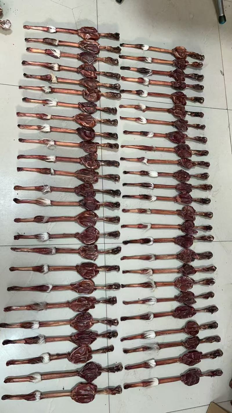 鹿鞭批发一件代发电商供货源头供应链鹿鞭谦整根鹿鞭