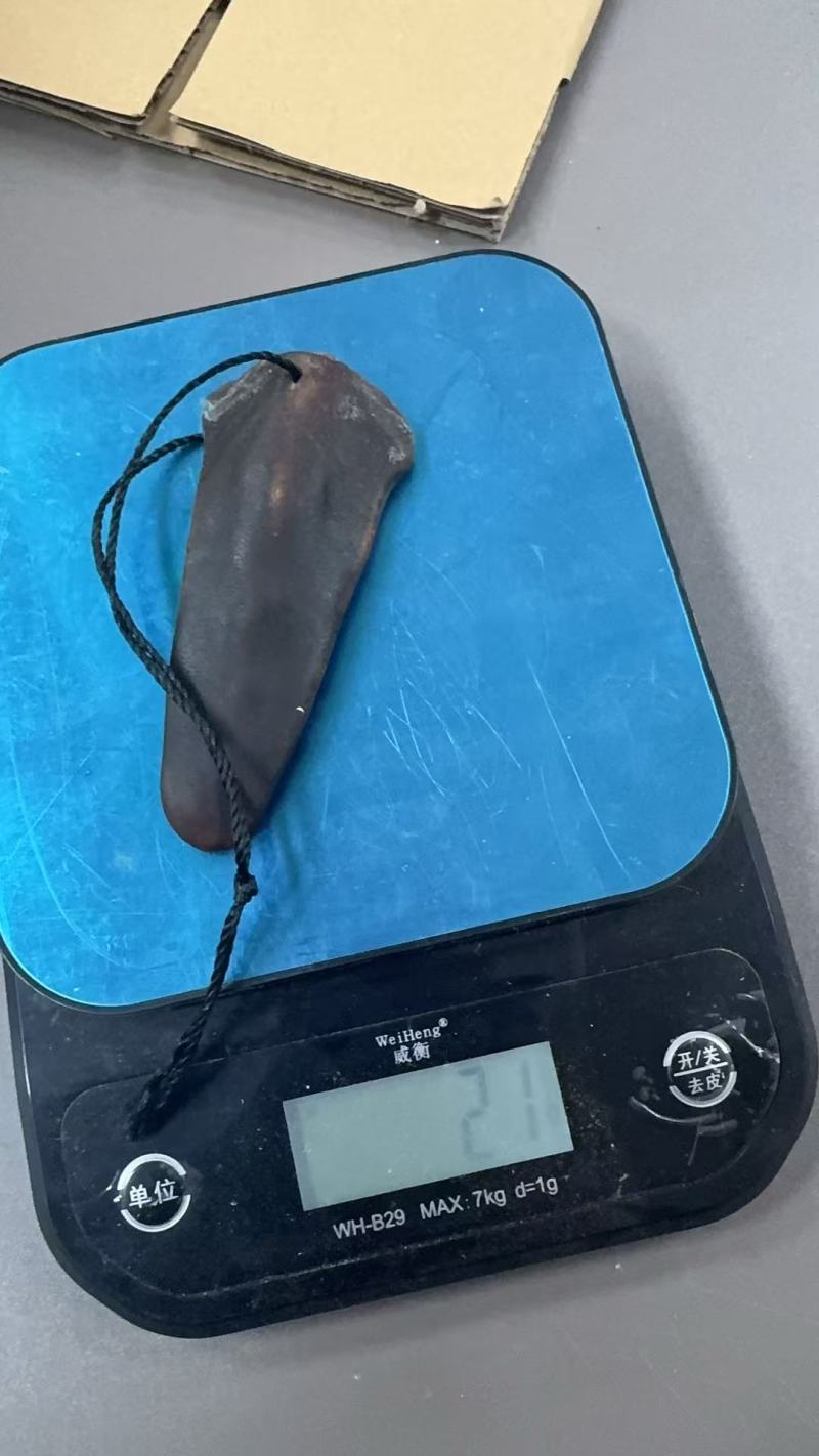 鹿尾巴小克数煲汤泡酒泡茶一件代发电商供货
