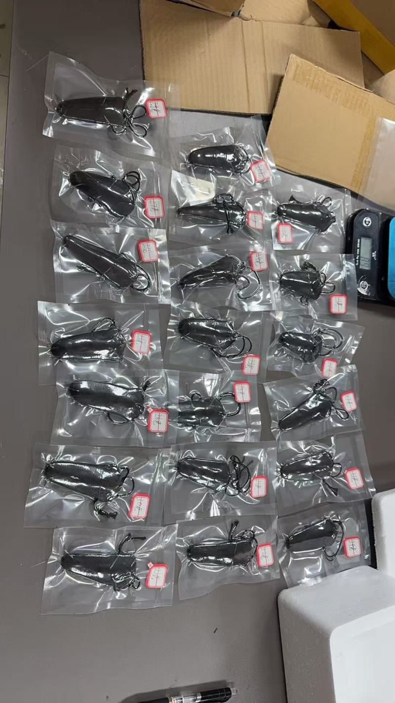 鹿尾巴小克数煲汤泡酒泡茶一件代发电商供货