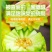 山东花美人甜瓜花蕾甜瓜燕店香瓜万亩产地实力供货一件起批