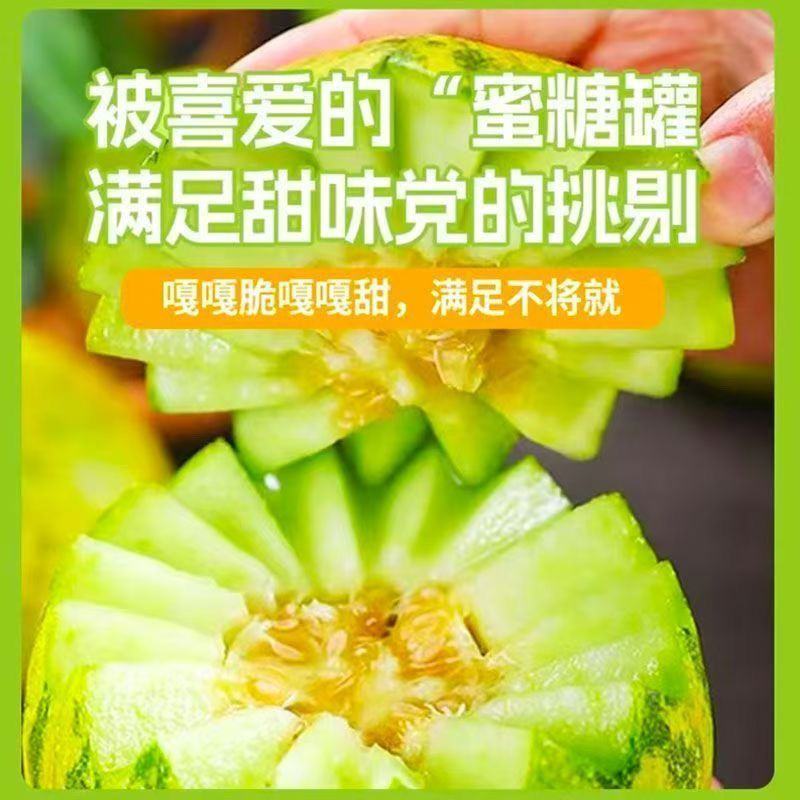 山东花美人甜瓜花蕾甜瓜燕店香瓜万亩产地实力供货一件起批