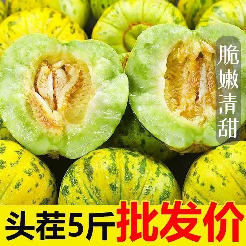 山东花美人甜瓜花蕾甜瓜燕店香瓜万亩产地实力供货一件起批