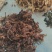 河南开封梅干菜干产地直发一手货源量大价优欢迎采购