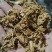 河南开封梅干菜干产地直发一手货源量大价优欢迎采购