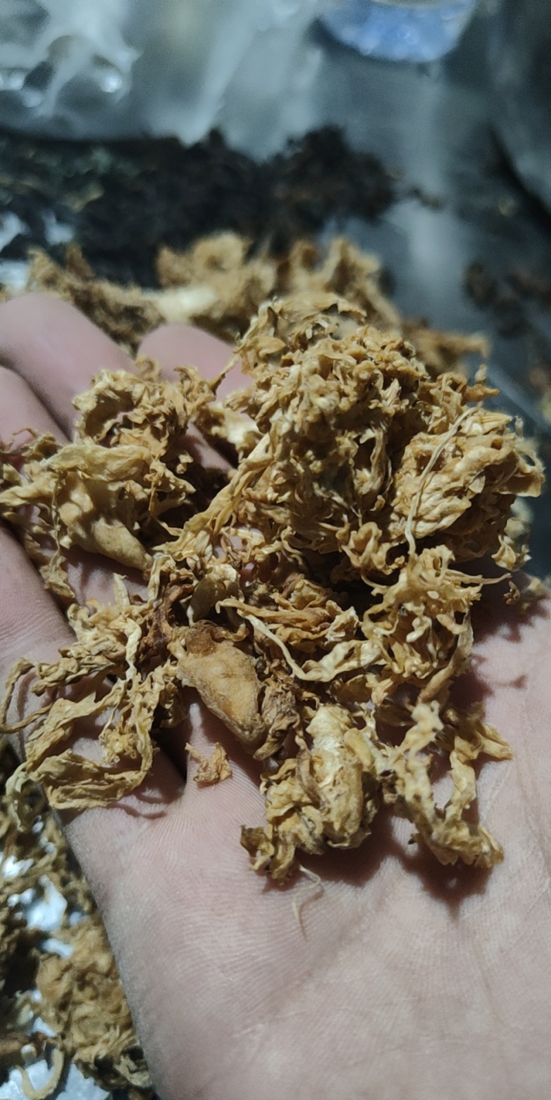 河南开封梅干菜干产地直发一手货源量大价优欢迎采购