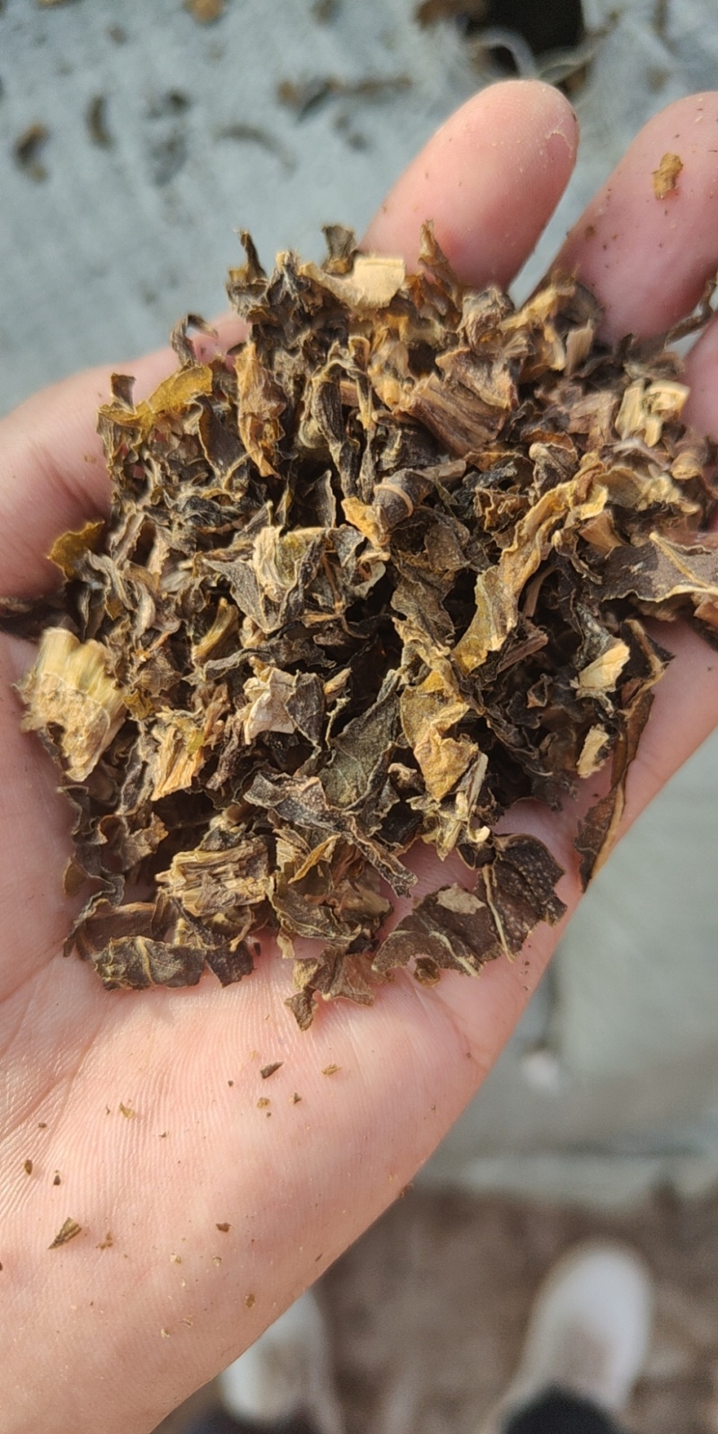 河南开封梅干菜干产地直发一手货源量大价优欢迎采购
