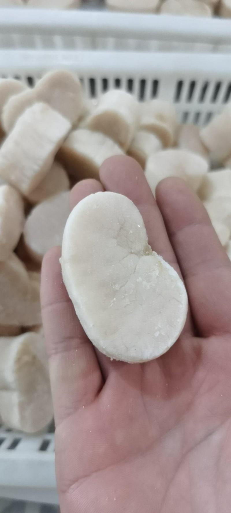 江瑶贝柱绿贝柱贝柱一级带子肉海鲜水产