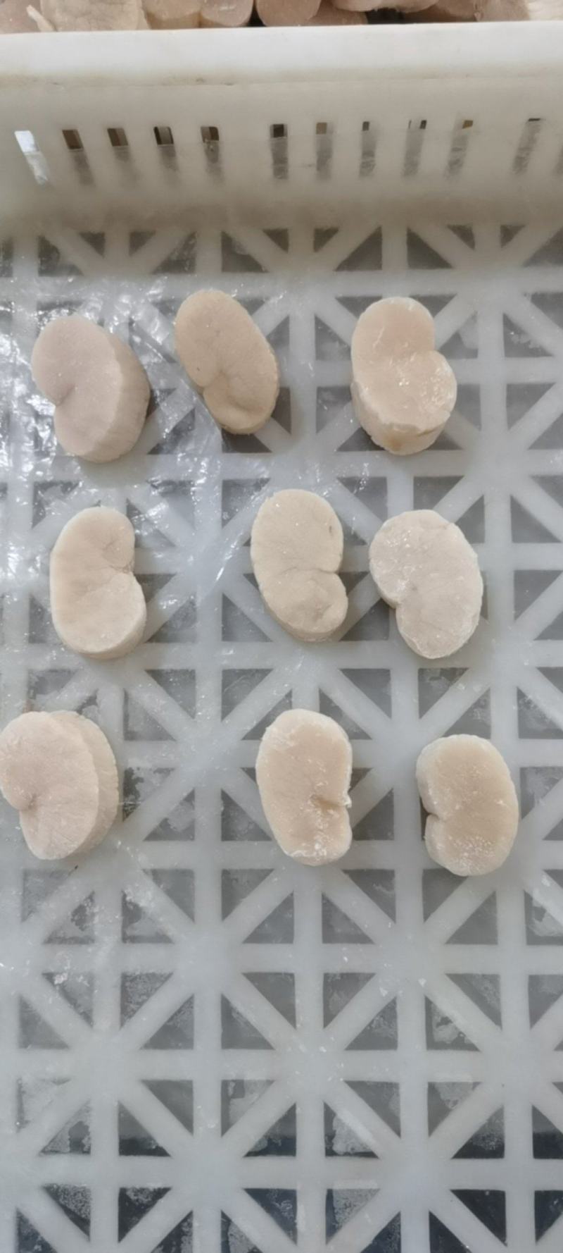 江瑶贝柱绿贝柱贝柱一级带子肉海鲜水产