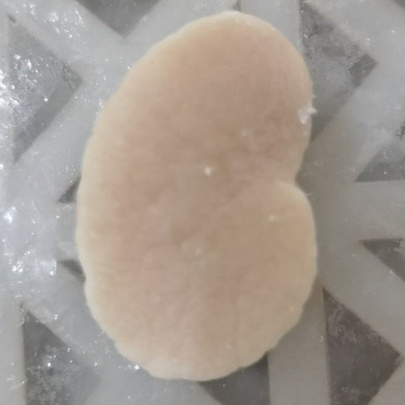 江瑶贝柱绿贝柱贝柱一级带子肉海鲜水产