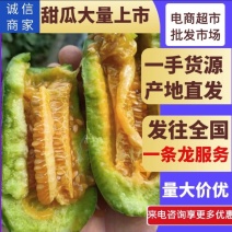 博洋九号甜瓜博洋9现摘现发对接各大市场超市电商产地失力代办