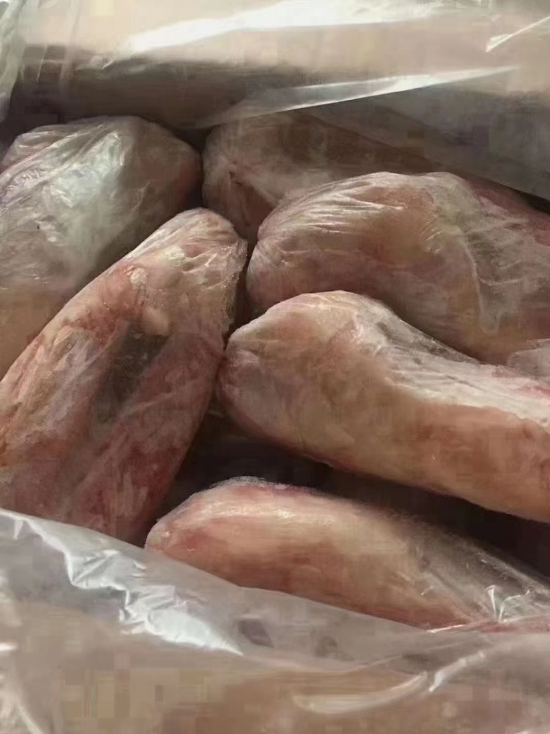 白条兔货源充足品质保证欢迎老板选购