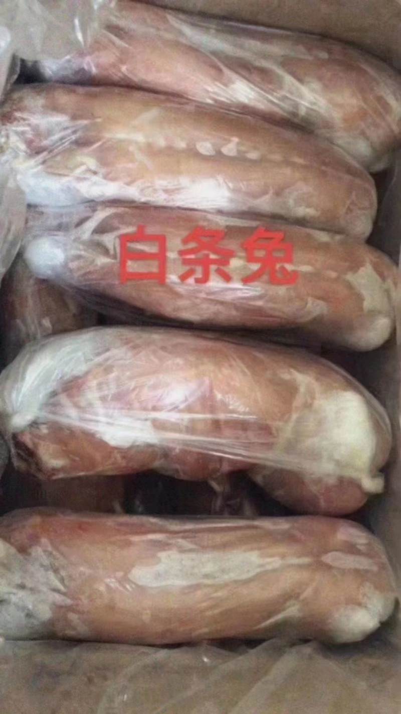 白条兔货源充足品质保证欢迎老板选购