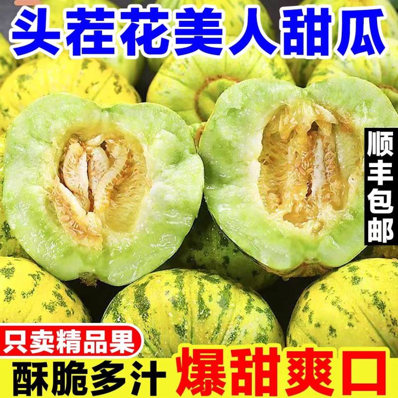 燕店花美人甜瓜花蕾甜瓜莘县香瓜玉菇绿宝甜瓜产地电商供货
