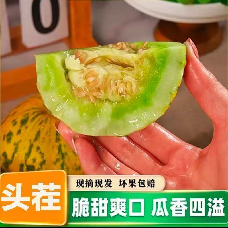 莘县甜瓜燕店香瓜博洋甜瓜羊角蜜绿宝久红瑞甜瓜产地实力供货
