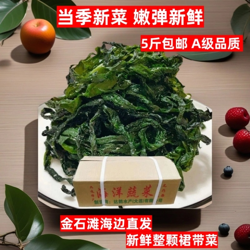 2025年新裙带菜