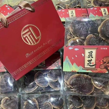 灵芝礼盒