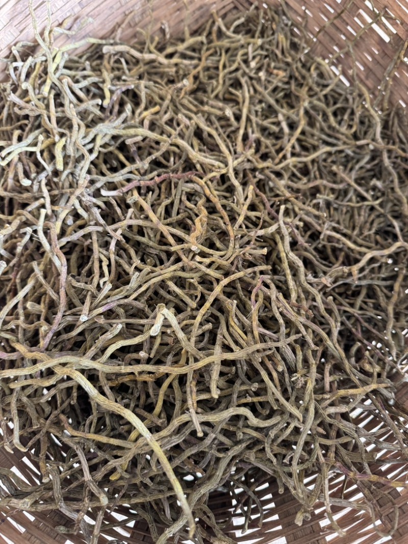 浙江品种（西双版纳产地直销）石斛干条饱满，胶好，化渣