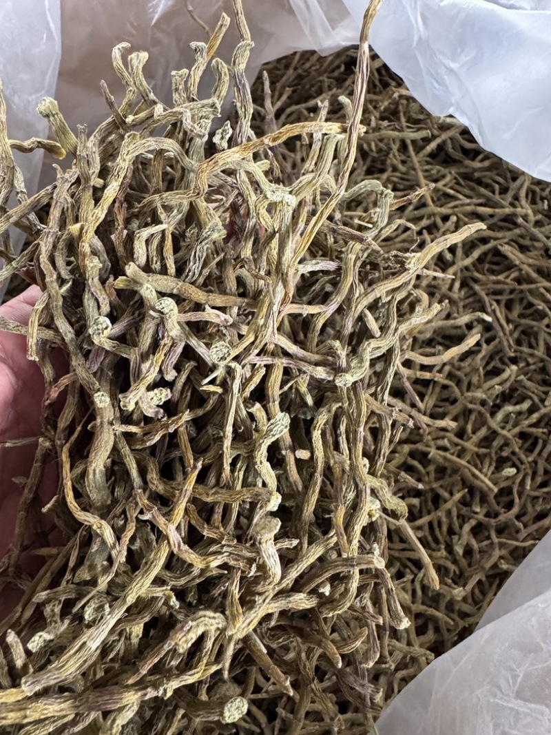 浙江品种（西双版纳产地直销）石斛干条饱满，胶好，化渣