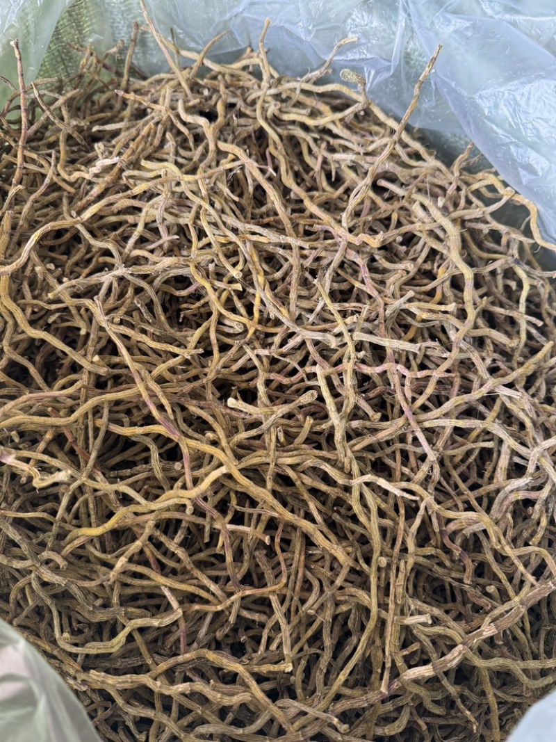 浙江品种（西双版纳产地直销）石斛干条饱满，胶好，化渣