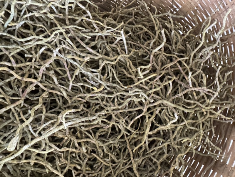 浙江品种（西双版纳产地直销）石斛干条饱满，胶好，化渣