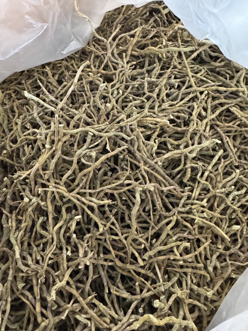 浙江品种（西双版纳产地直销）石斛干条饱满，胶好，化渣